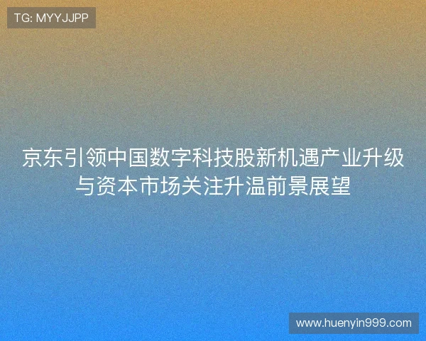 京东引领中国数字科技股新机遇产业升级与资本市场关注升温前景展望 京东引领中国数字科技股新机遇产业升级与资本市场关注升温前景展望